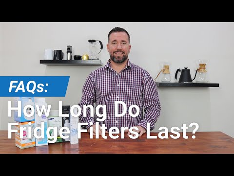 How Long Do Fridge Water Filters Last? Fridge Filter Replacement Guidelines