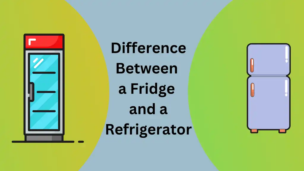 Refrigerator vs Fridge: Understanding the Key Differences