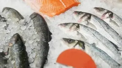 storing raw fish safely in your fridge