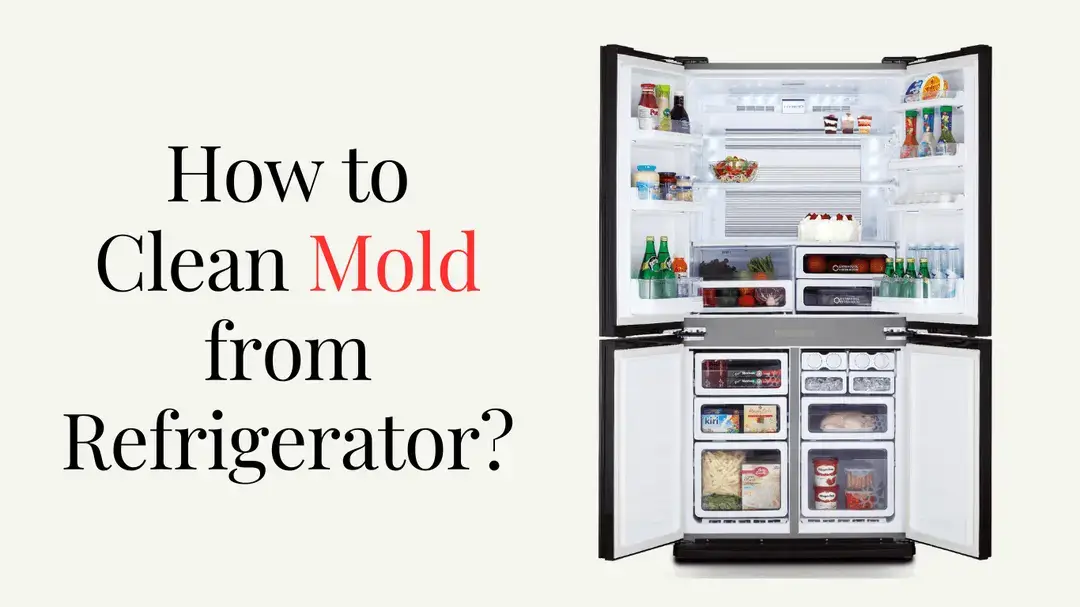 How to clean mold from Refrigerator?