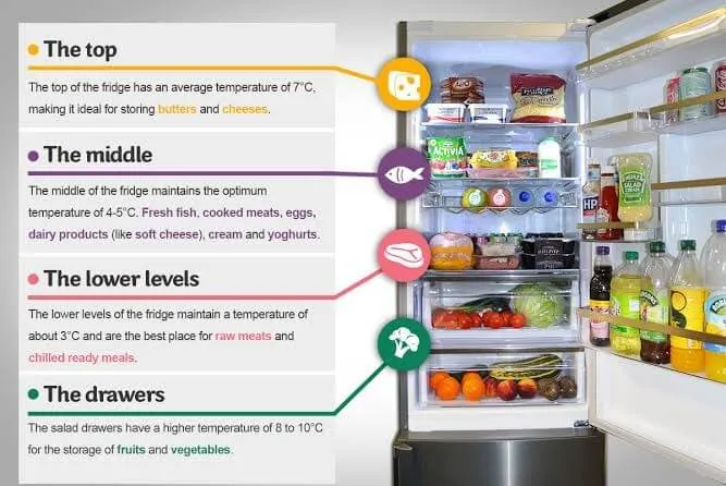 How to Switch Food to a New Refrigerator?