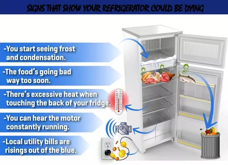 Signs That Your Fridge May Be Dying Slowly