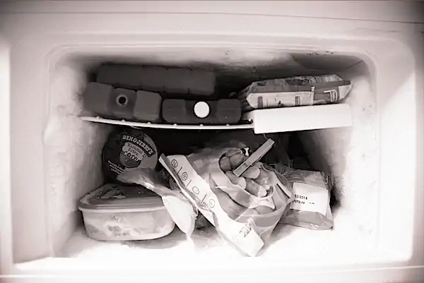 Signs Your Mini Fridge Needs Defrosting