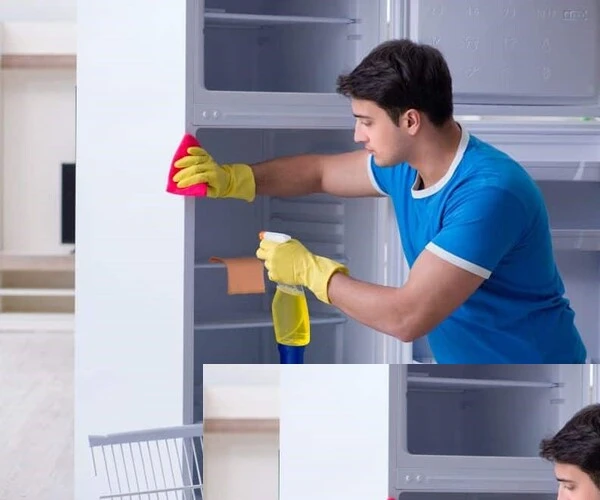 How to Clean a Bug Infested Refrigerator