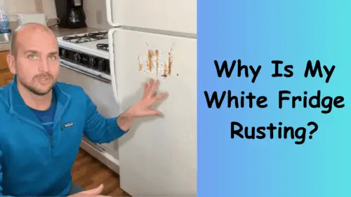 Why Is My White Fridge Rusting?